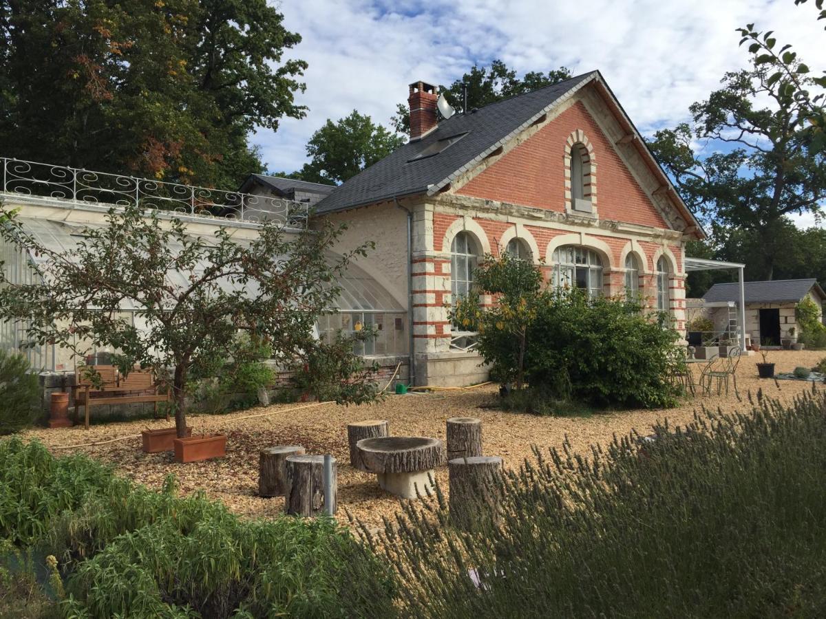 L'Orangerie "The Orangery" Du Parc Des Nouies Βίλα Selles-sur-Cher Εξωτερικό φωτογραφία