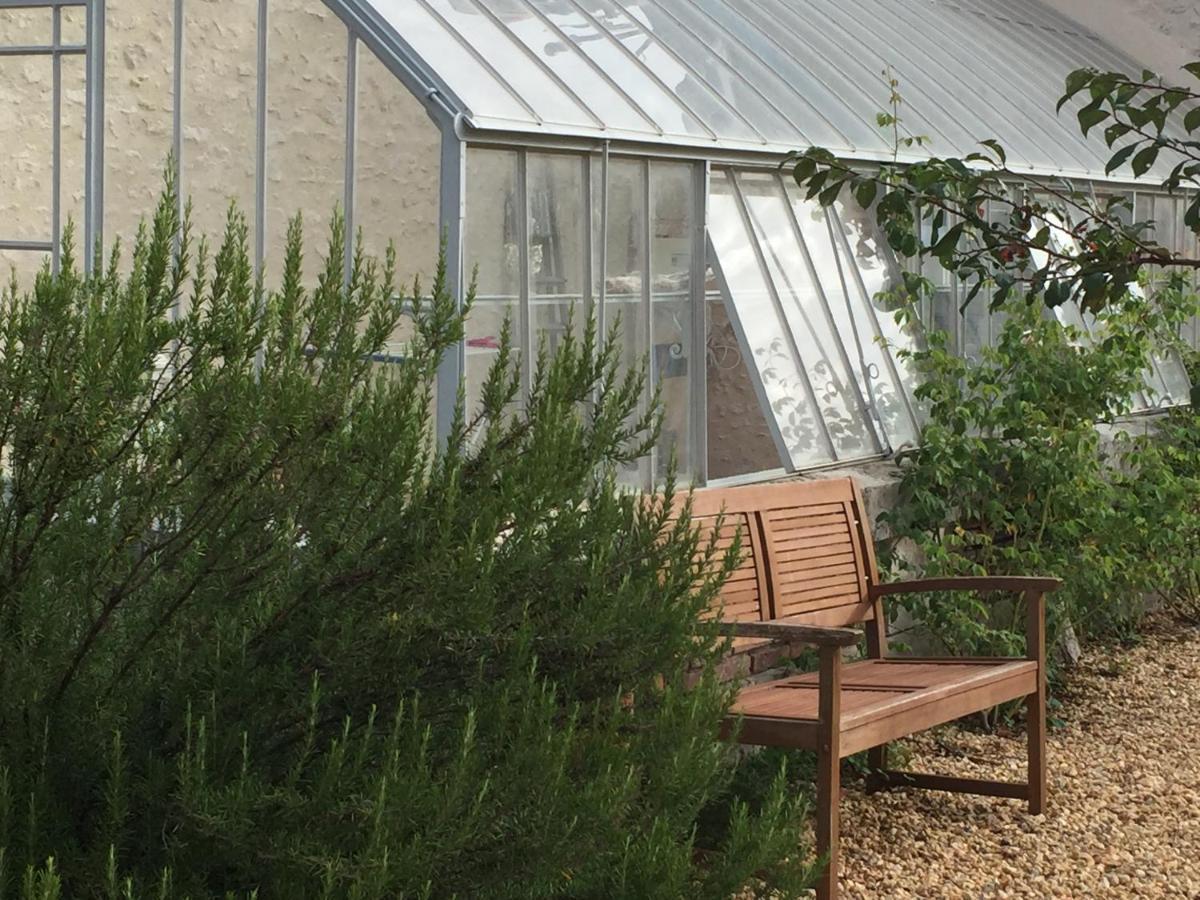 L'Orangerie "The Orangery" Du Parc Des Nouies Βίλα Selles-sur-Cher Εξωτερικό φωτογραφία