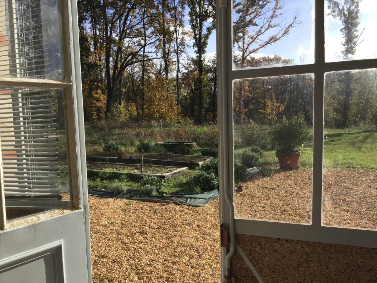 L'Orangerie "The Orangery" Du Parc Des Nouies Βίλα Selles-sur-Cher Εξωτερικό φωτογραφία